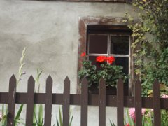 Lucy _031